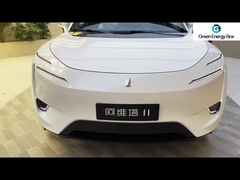 Mobil EV Cina