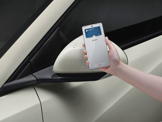 2025 BYD Seagull, pengemudi cerdas yang ditingkatkan, konfigurasi keselamatan yang ditingkatkan.